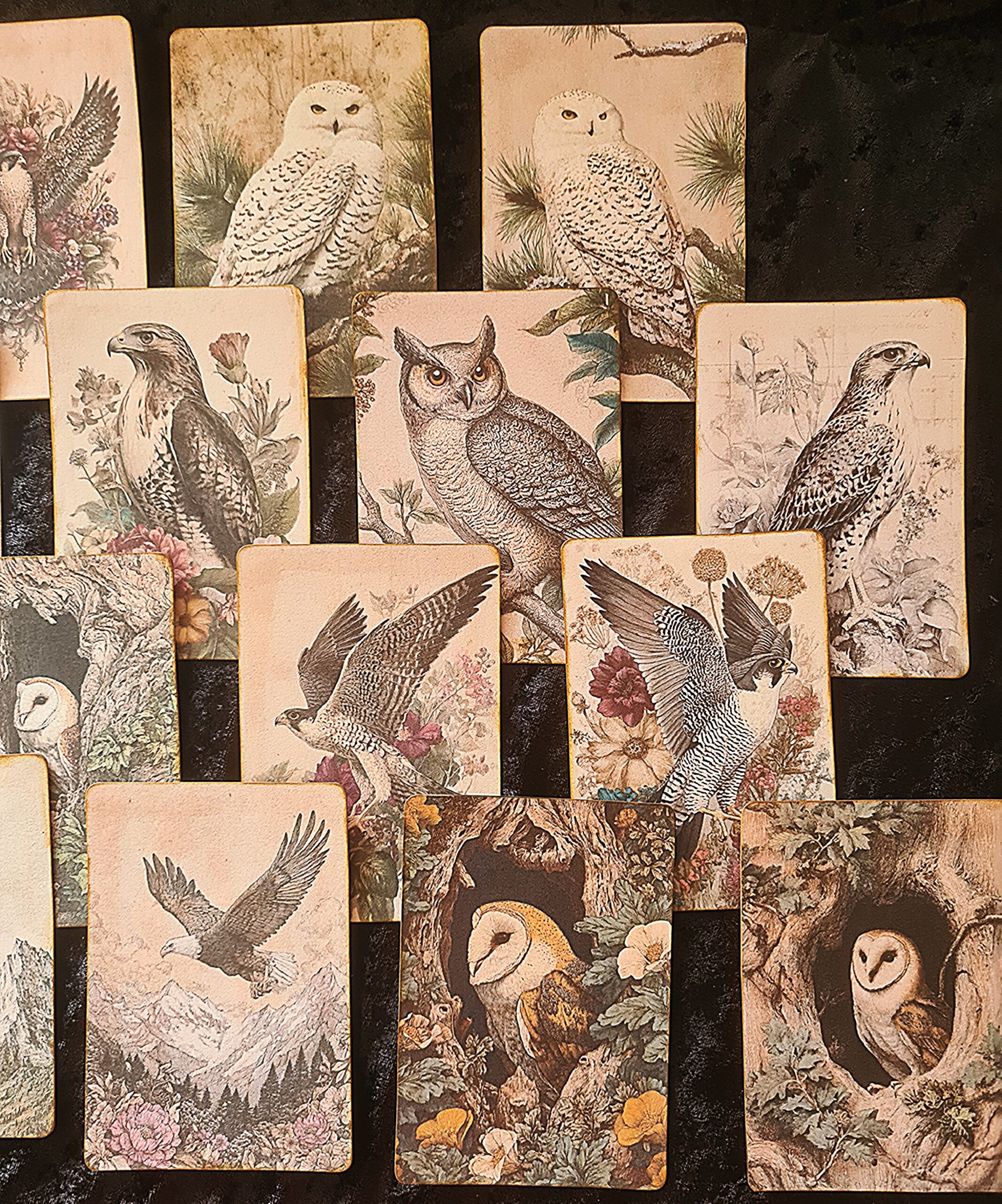 Set of 20 x Handmade Junk Journal Cards, Vintage Birds of Prey Theme Ephemera - Image 4